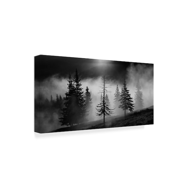 Julien Oncete 'Misty Forest' Canvas Art,16x32